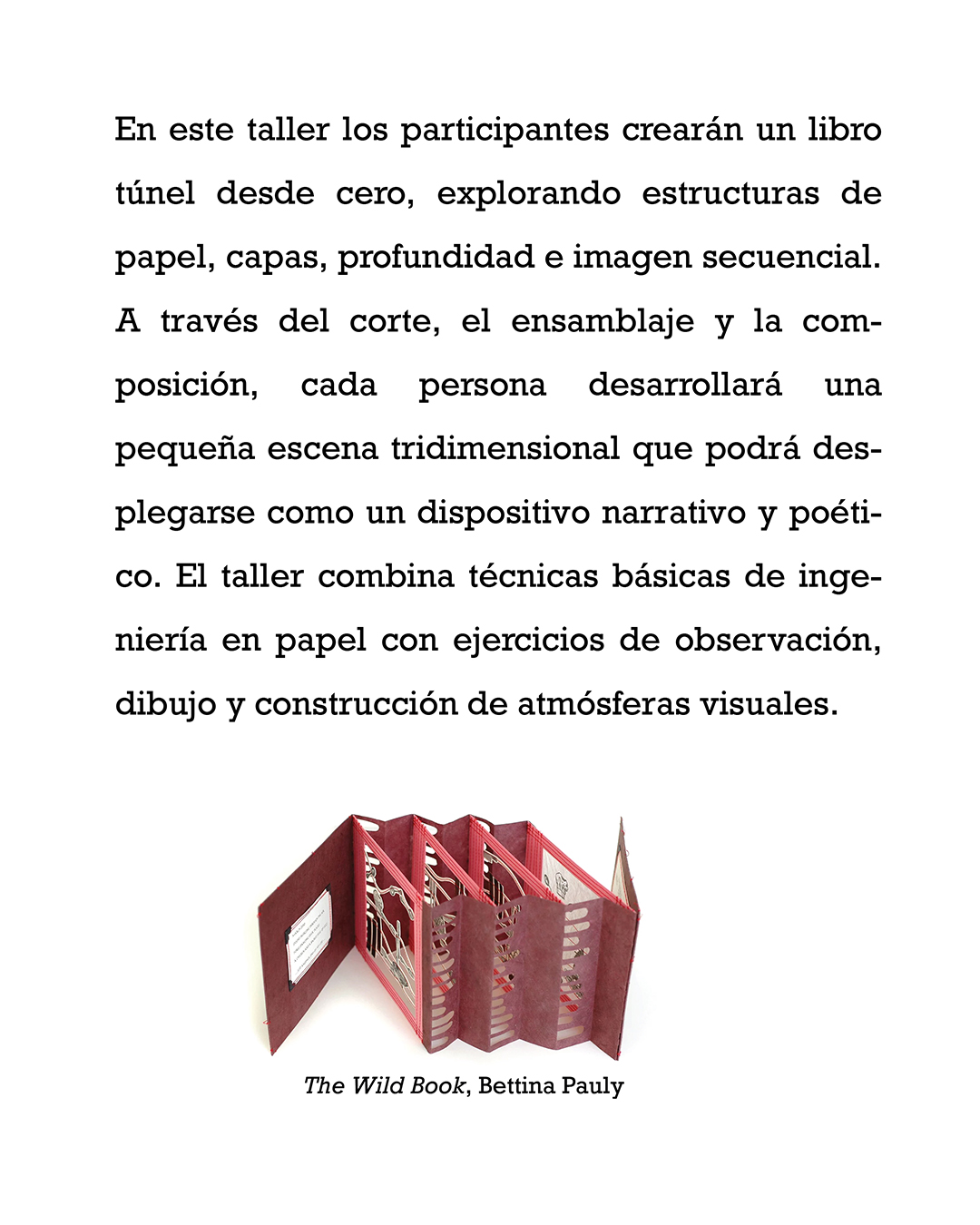 libro túnel